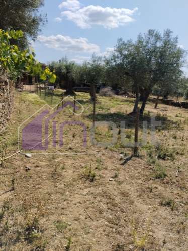 Conjunto de Moradias e Ruínas Urbanas para Reconstrução – Terreno de 6.000m² com Água, Eletricidade