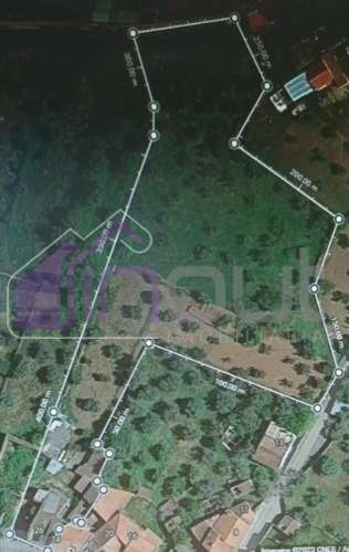 Conjunto de Moradias e Ruínas Urbanas para Reconstrução – Terreno de 6.000m² com Água, Eletricidade