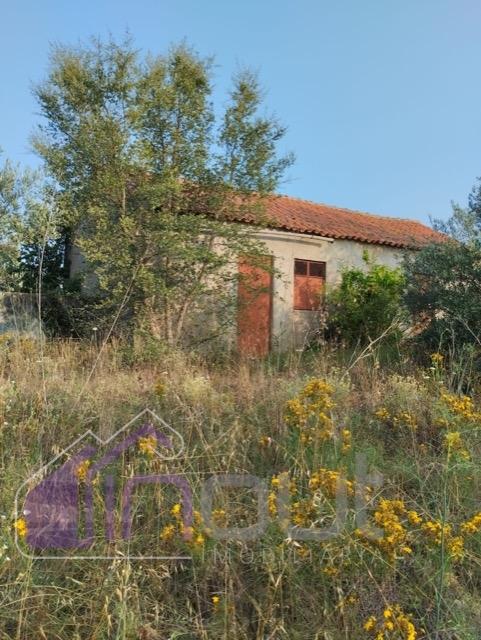 Quinta com 3 Hectares – Olival Tradicional, Árvores de Fruto e Excelentes Acessos junto à Nacional 1