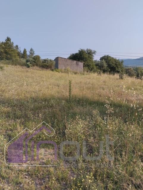 Quinta com 3 Hectares – Olival Tradicional, Árvores de Fruto e Excelentes Acessos junto à Nacional 1