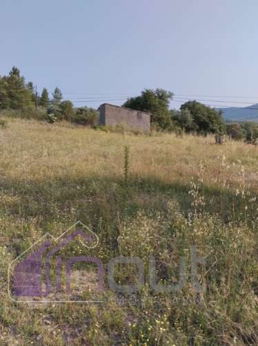 Quinta com 3 Hectares – Olival Tradicional, Árvores de Fruto e Excelentes Acessos junto à Nacional 1