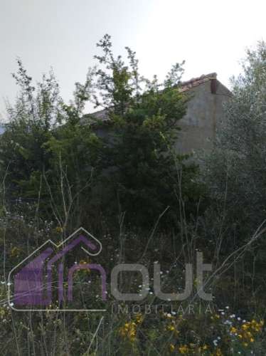 Quinta com 3 Hectares – Olival Tradicional, Árvores de Fruto e Excelentes Acessos junto à Nacional 1