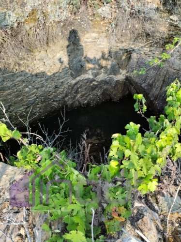 Quinta com 3 Hectares – Olival Tradicional, Árvores de Fruto e Excelentes Acessos junto à Nacional 1