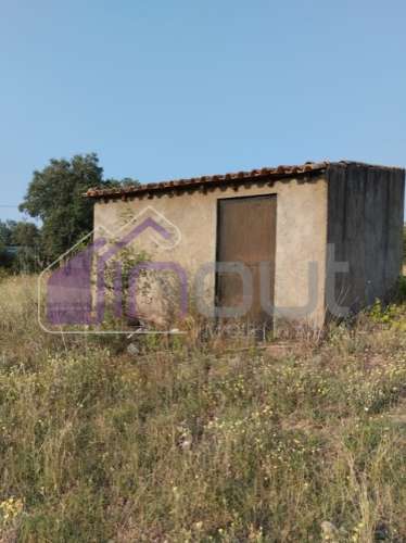 Quinta com 3 Hectares – Olival Tradicional, Árvores de Fruto e Excelentes Acessos junto à Nacional 1