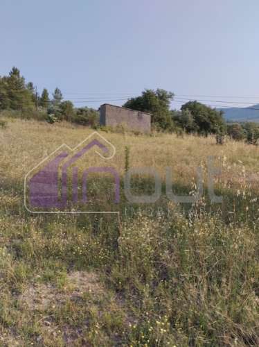 Quinta com 3 Hectares – Olival Tradicional, Árvores de Fruto e Excelentes Acessos junto à Nacional 1