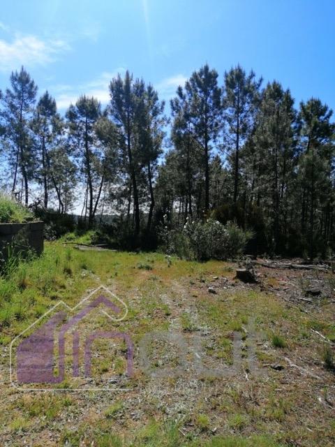 Terreno Rústico com 6.000m² — Excelente Localização, Potencial de Construção e Vista Aberta sobre a