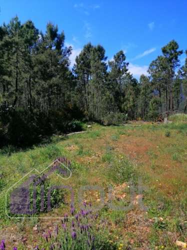Terreno Rústico com 6.000m² — Excelente Localização, Potencial de Construção e Vista Aberta sobre a