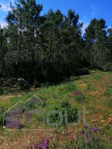 Terreno Rústico com 6.000m² — Excelente Localização, Potencial de Construção e Vista Aberta sobre a