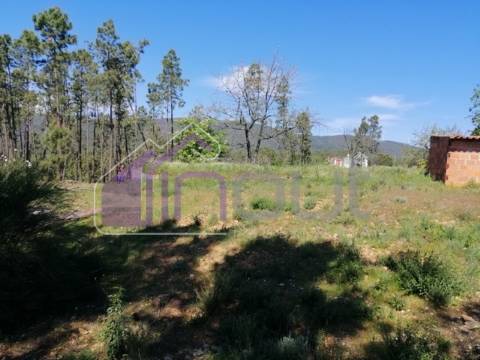 Terreno Rústico com 6.000m² — Excelente Localização, Potencial de Construção e Vista Aberta sobre a