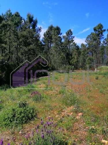 Terreno Rústico com 6.000m² — Excelente Localização, Potencial de Construção e Vista Aberta sobre a