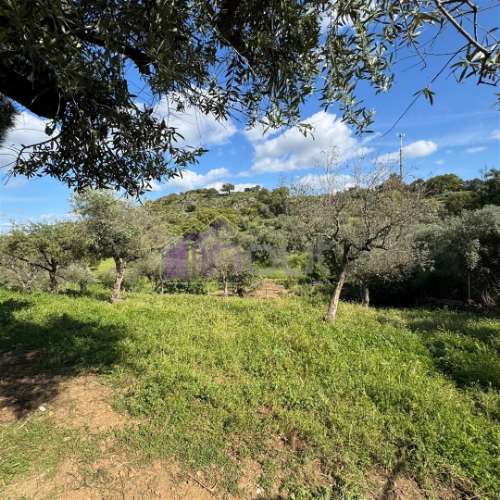 Quinta Rural com Recursos Naturais e Potencial Agrícola – A Apenas 200m da Fronteira com Espanha