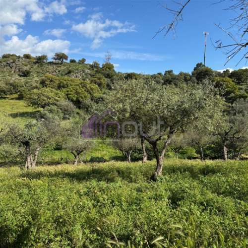 Quinta Rural com Recursos Naturais e Potencial Agrícola – A Apenas 200m da Fronteira com Espanha