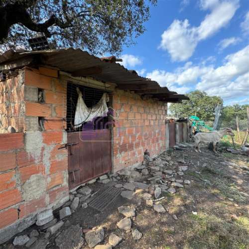 Quinta Rural com Recursos Naturais e Potencial Agrícola – A Apenas 200m da Fronteira com Espanha