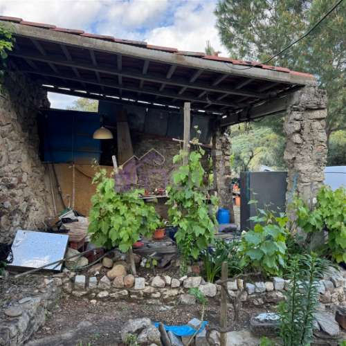 Quinta Rural com Recursos Naturais e Potencial Agrícola – A Apenas 200m da Fronteira com Espanha