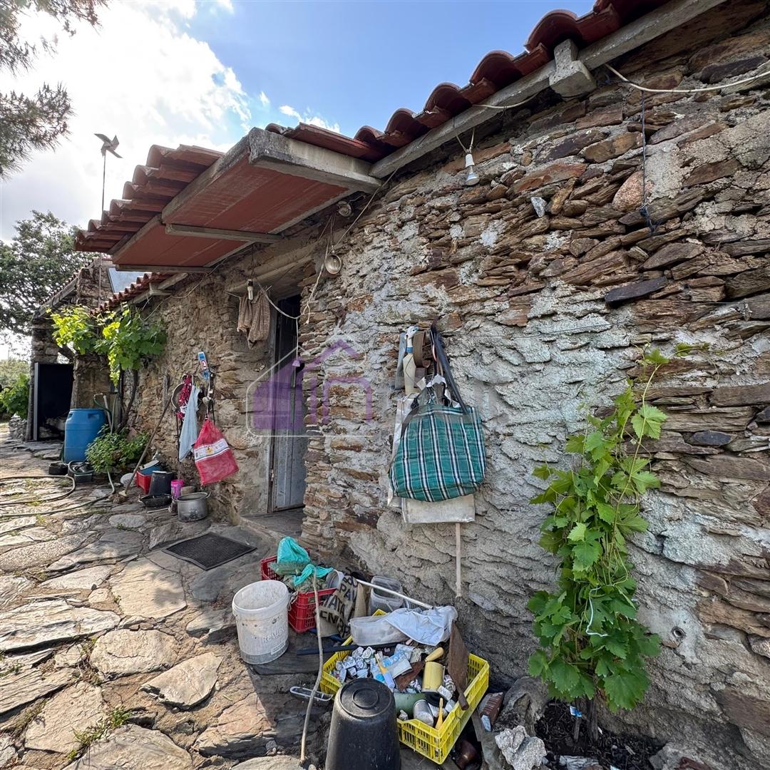 Quinta Rural com Recursos Naturais e Potencial Agrícola – A Apenas 200m da Fronteira com Espanha