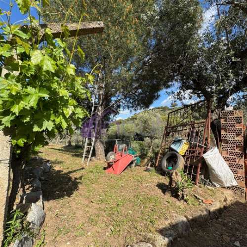 Quinta Rural com Recursos Naturais e Potencial Agrícola – A Apenas 200m da Fronteira com Espanha