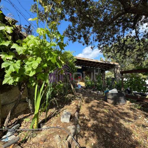 Quinta Rural com Recursos Naturais e Potencial Agrícola – A Apenas 200m da Fronteira com Espanha