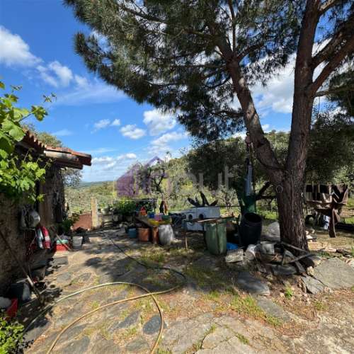 Quinta Rural com Recursos Naturais e Potencial Agrícola – A Apenas 200m da Fronteira com Espanha