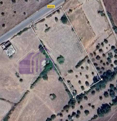 Terreno Rústico com Oliveiras e Poços – Próximo à Orca, Fundão