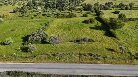 Terreno Rústico com Oliveiras e Poços – Próximo à Orca, Fundão