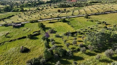 Terreno Rústico com Oliveiras e Poços – Próximo à Orca, Fundão