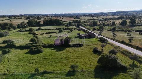 Terreno Rústico com Oliveiras e Poços – Próximo à Orca, Fundão