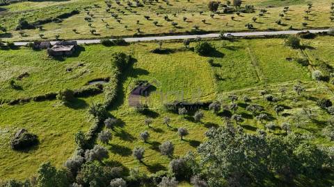 Terreno Rústico com Oliveiras e Poços – Próximo à Orca, Fundão