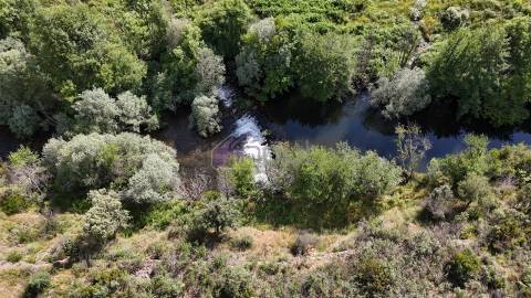 Terreno Rústico com 950 m² à Beira do Rio Ocreza – Casalinho, Montes da Senhora, Proença-a-Nova