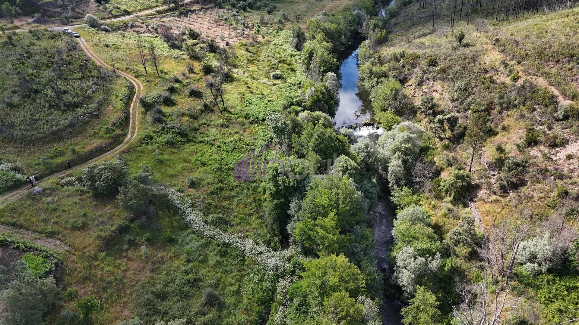 Terreno Rústico com 950 m² à Beira do Rio Ocreza – Casalinho, Montes da Senhora, Proença-a-Nova