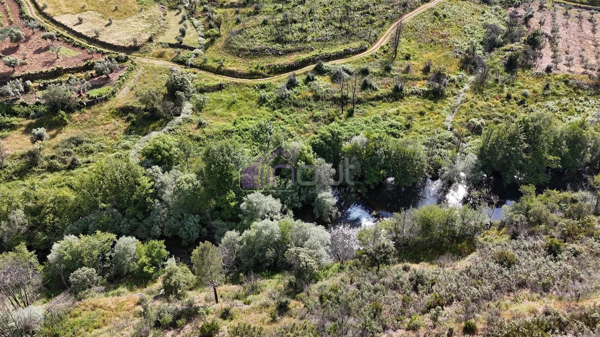 Terreno Rústico com 950 m² à Beira do Rio Ocreza – Casalinho, Montes da Senhora, Proença-a-Nova