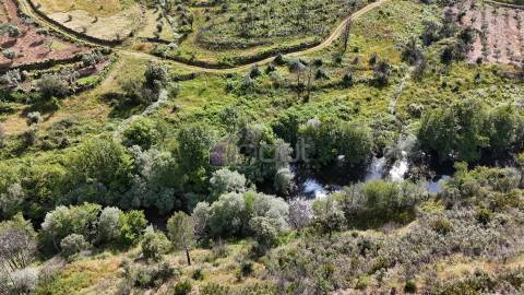 Terreno Rústico com 950 m² à Beira do Rio Ocreza – Casalinho, Montes da Senhora, Proença-a-Nova