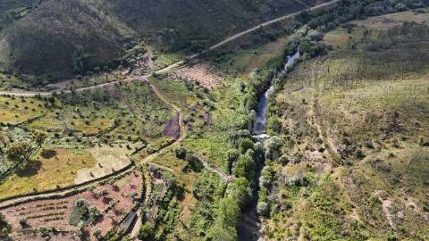 Terreno Rústico com 950 m² à Beira do Rio Ocreza – Casalinho, Montes da Senhora, Proença-a-Nova