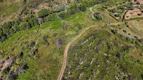 Terreno Rústico com 950 m² à Beira do Rio Ocreza – Casalinho, Montes da Senhora, Proença-a-Nova