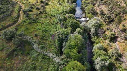 Terreno Rústico com 950 m² à Beira do Rio Ocreza – Casalinho, Montes da Senhora, Proença-a-Nova