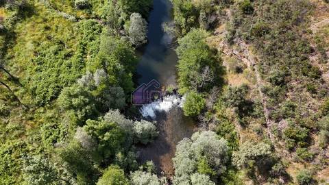 Terreno Rústico com 950 m² à Beira do Rio Ocreza – Casalinho, Montes da Senhora, Proença-a-Nova
