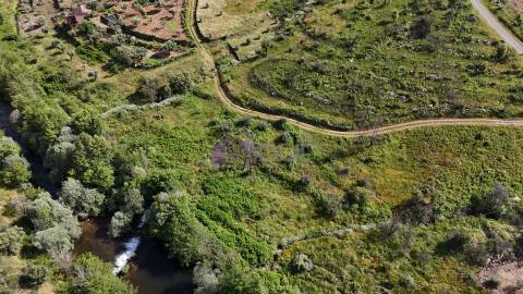 Terreno Rústico com 950 m² à Beira do Rio Ocreza – Casalinho, Montes da Senhora, Proença-a-Nova