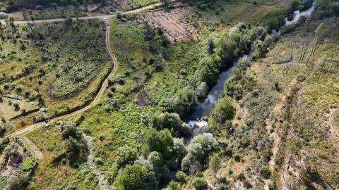 Terreno Rústico com 950 m² à Beira do Rio Ocreza – Casalinho, Montes da Senhora, Proença-a-Nova