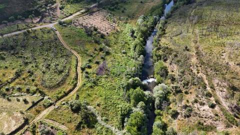 Terreno Rústico com 950 m² à Beira do Rio Ocreza – Casalinho, Montes da Senhora, Proença-a-Nova
