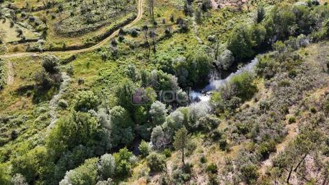 Terreno Rústico com 950 m² à Beira do Rio Ocreza – Casalinho, Montes da Senhora, Proença-a-Nova