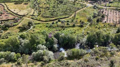 Terreno Rústico com 950 m² à Beira do Rio Ocreza – Casalinho, Montes da Senhora, Proença-a-Nova