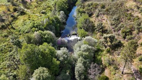 Terreno Rústico com 950 m² à Beira do Rio Ocreza – Casalinho, Montes da Senhora, Proença-a-Nova
