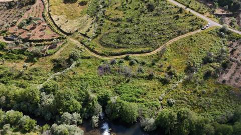 Terreno Rústico com 950 m² à Beira do Rio Ocreza – Casalinho, Montes da Senhora, Proença-a-Nova