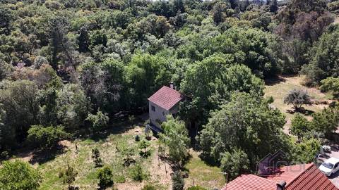 Quinta , Castelo Branco, Caste