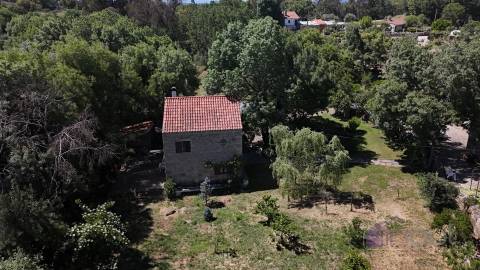 Quinta , Castelo Branco, Caste