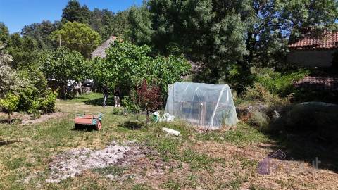 Quinta , Castelo Branco, Caste