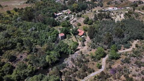 Quinta , Castelo Branco, Caste