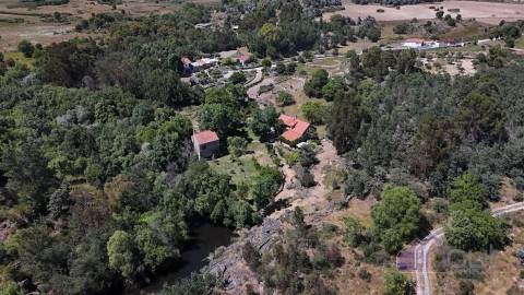 Quinta , Castelo Branco, Caste