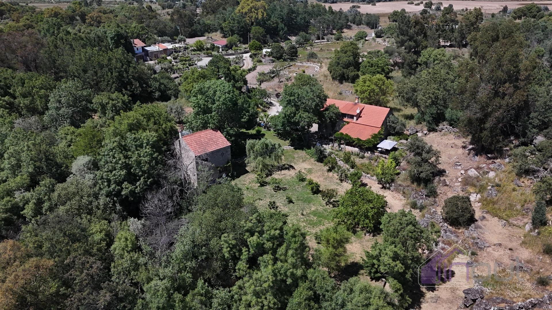 Quinta , Castelo Branco, Caste