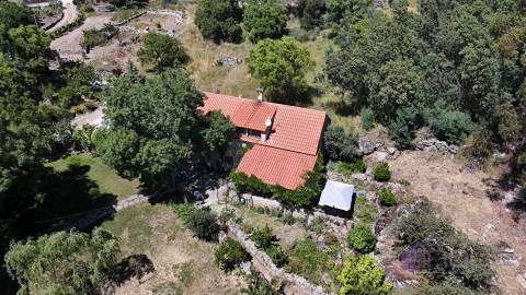 Quinta , Castelo Branco, Caste