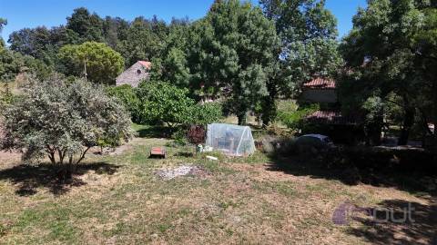 Quinta , Castelo Branco, Caste